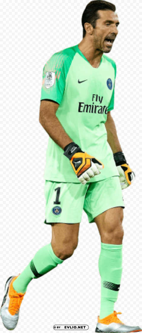 gianluigi buffon PNG with clear background extensive compilation