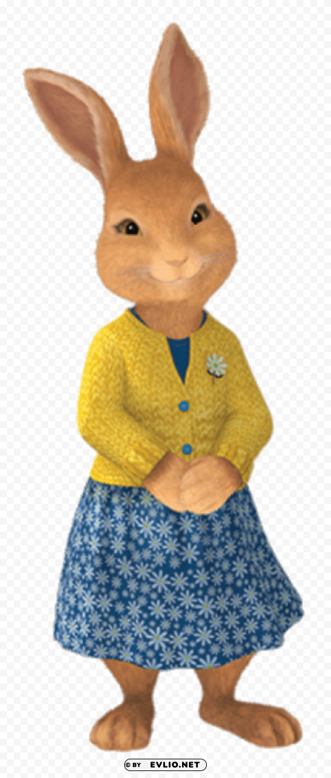 mum of peter rabbit PNG Isolated Illustration with Clarity