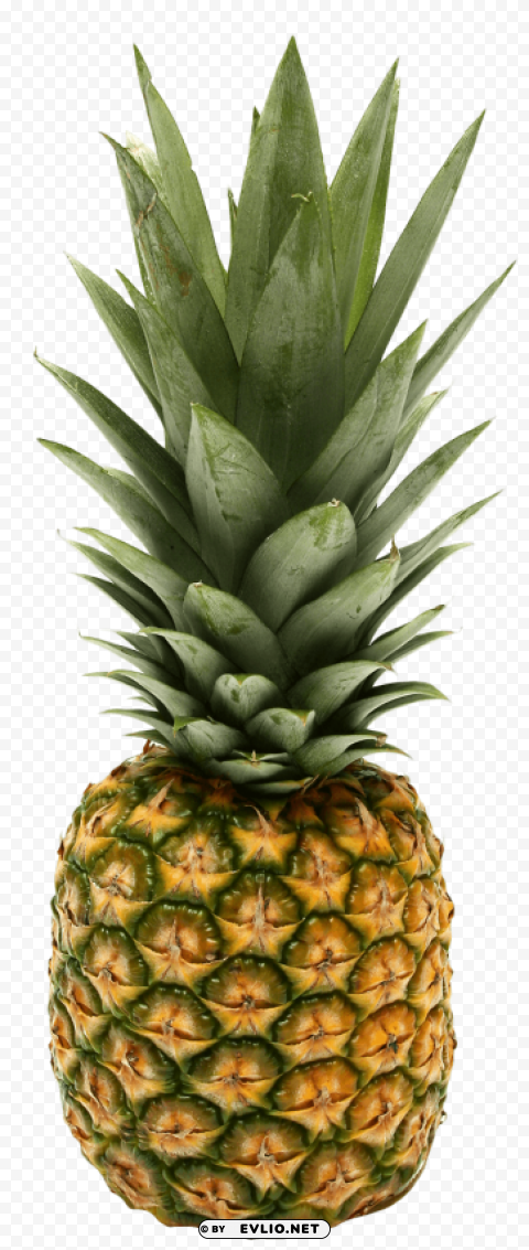Pineapple HighResolution PNG Isolated Artwork