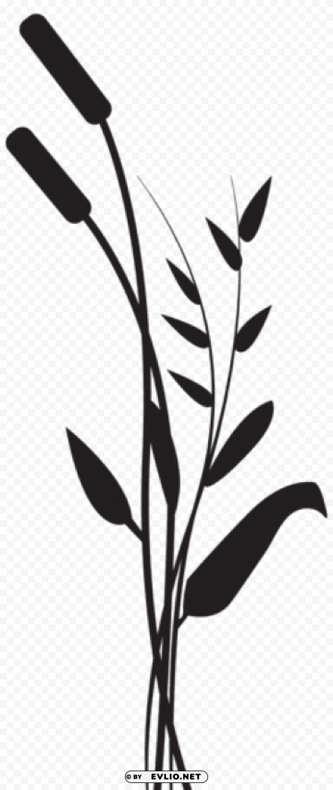 Bulrush Silhouette Isolated Object In HighQuality Transparent PNG