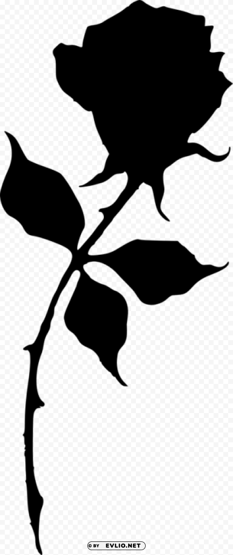 rose silhouette Isolated Object on HighQuality Transparent PNG