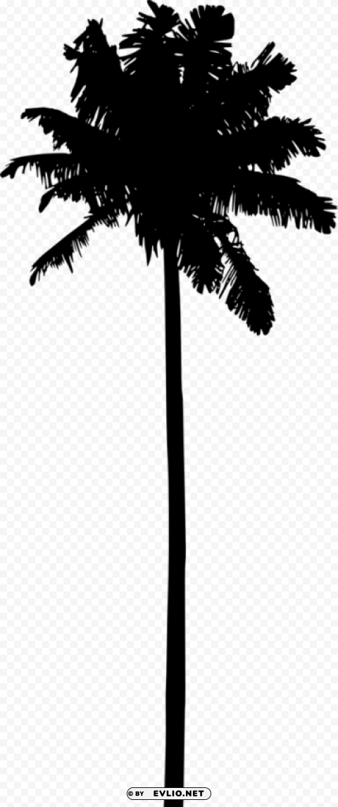 Palm Tree Silhouette Clear background PNG clip arts