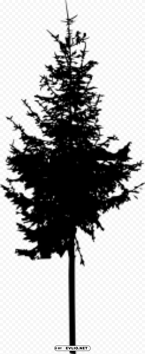 Pine Tree Silhouette PNG transparent vectors