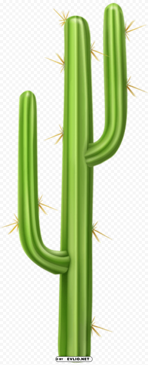 cactus Isolated Item on HighResolution Transparent PNG