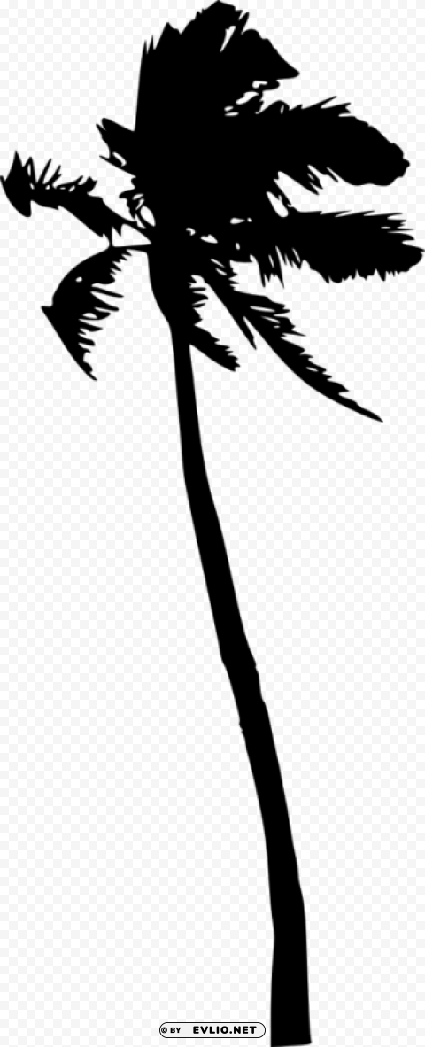 Palm Tree Silhouette Clear Background Isolated PNG Icon