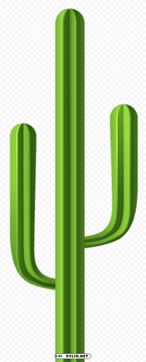 cactus Isolated Illustration on Transparent PNG