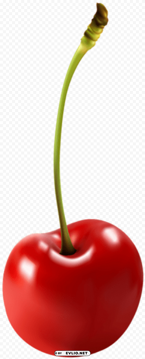 cherry free PNG with clear overlay