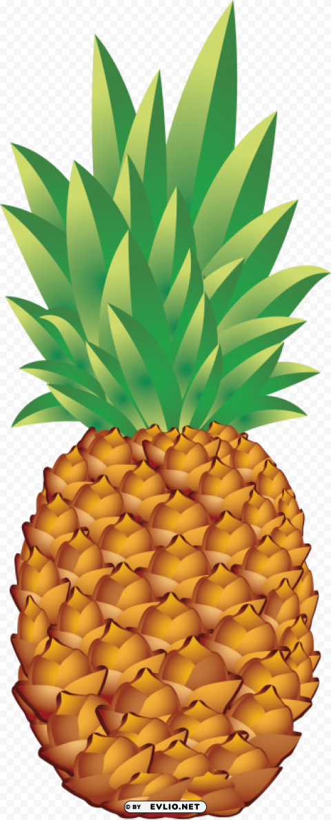 pineapple High-resolution transparent PNG images assortment clipart png photo - 7856a7fc