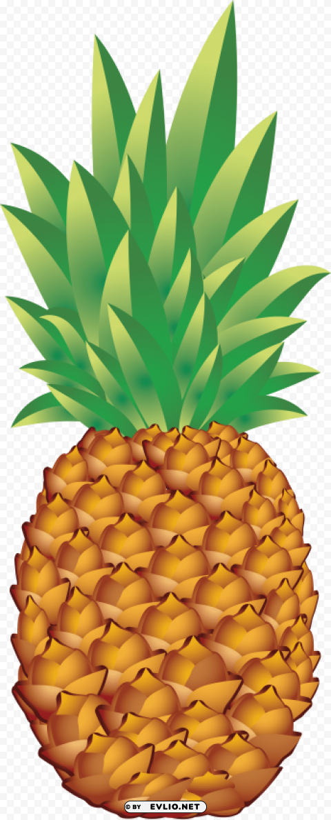 Pineapple High-resolution Transparent PNG Images Assortment