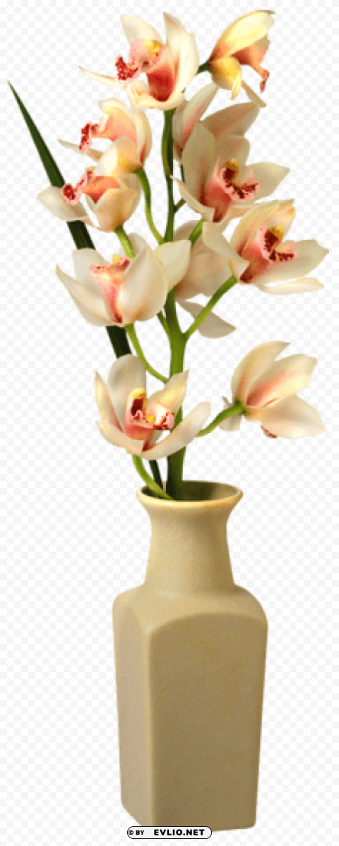 orchid in vase Transparent PNG Image Isolation