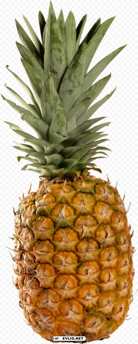 pineapple PNG Image with Isolated Subject