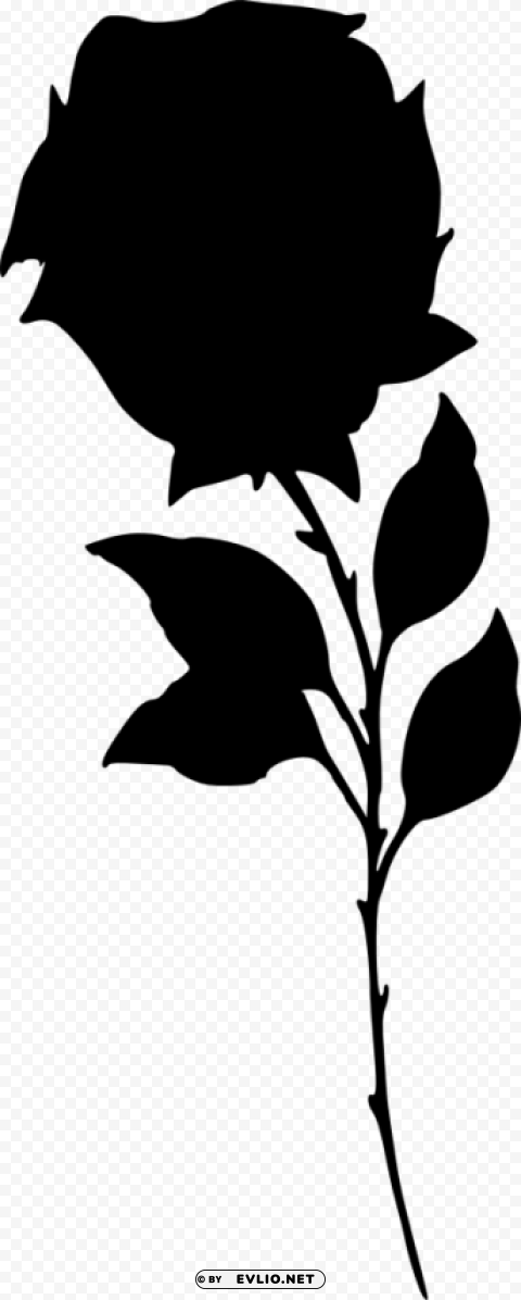 rose silhouette Isolated Subject in HighQuality Transparent PNG