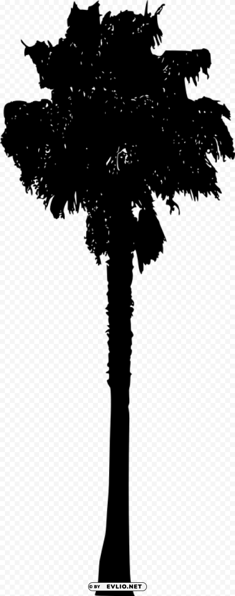 Transparent palm tree Isolated Item in Transparent PNG Format PNG Image - ID f3e3e15a
