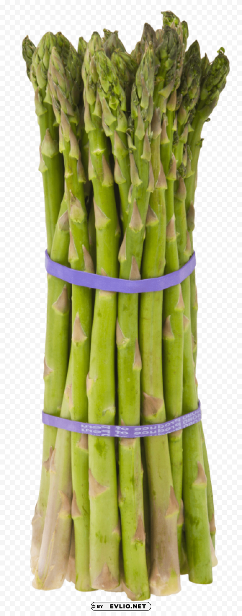 asparagus Isolated Object with Transparent Background in PNG
