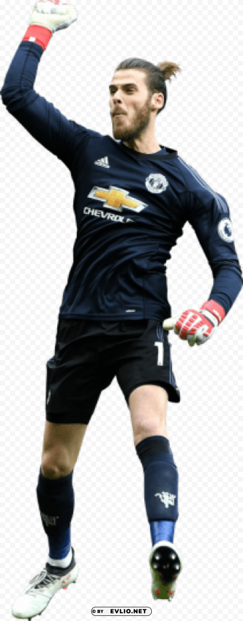 David De Gea PNG Images With Transparent Canvas Compilation