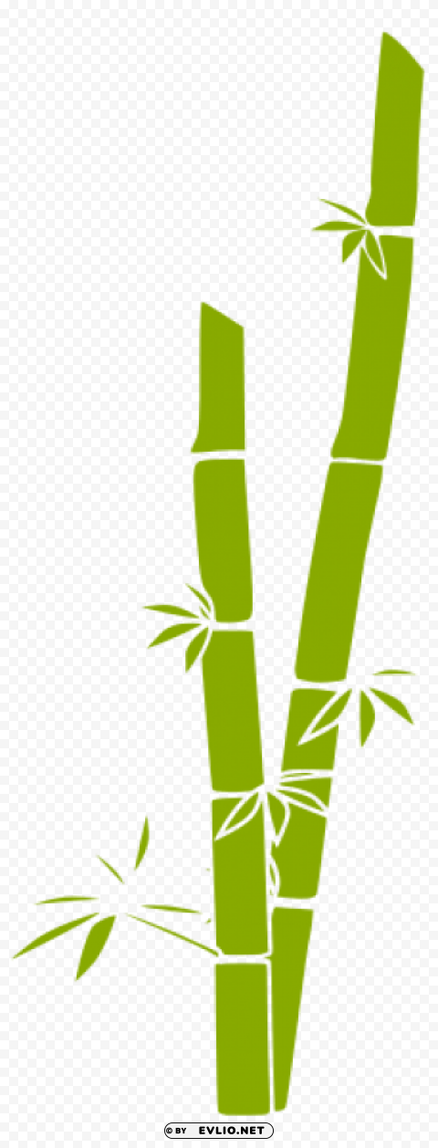 bamboo transparent PNG Graphic Isolated with Transparency