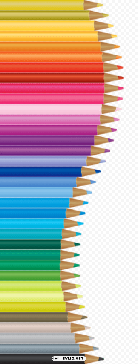 pencils decor vector PNG without background