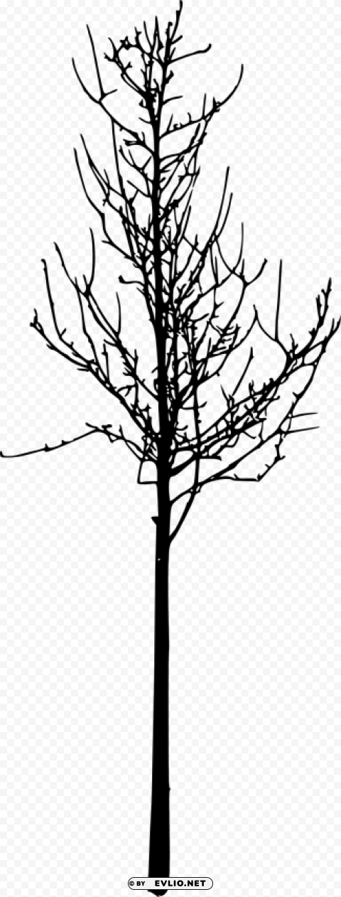 simple bare tree silhouette Isolated Artwork on Transparent PNG