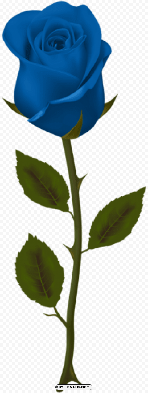 Blue Rose PNG Pics With Alpha Channel