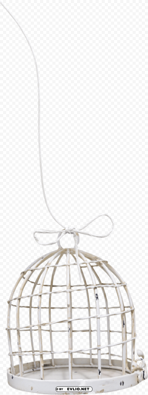 bird cage PNG for business use