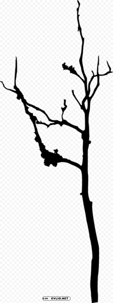 bare tree silhouette Isolated Character with Clear Background PNG
