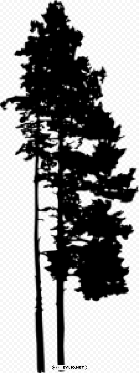 Pine Tree Silhouette PNG transparent pictures for editing