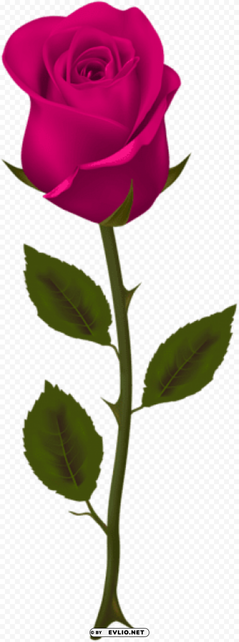 PNG image of pink rose PNG photo with a clear background - Image ID 907647f9