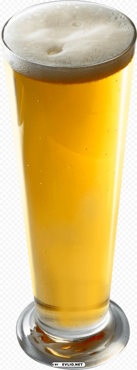 beer PNG for online use