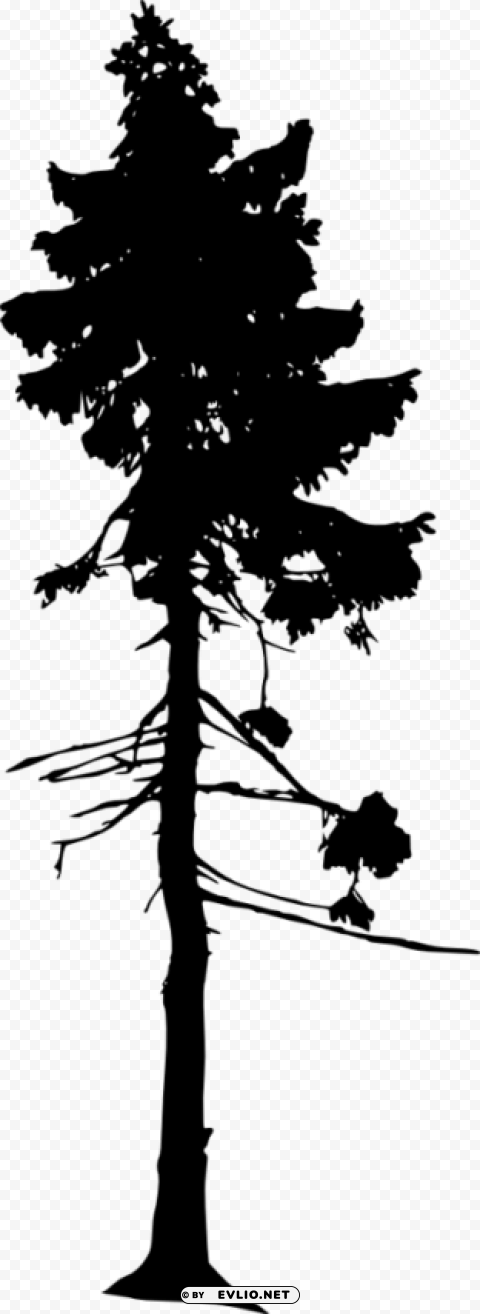 pine tree silhouette Transparent PNG images collection