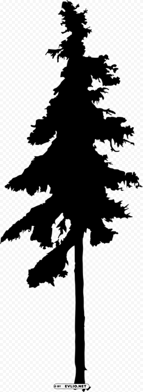 pine tree silhouette Isolated Character in Transparent PNG