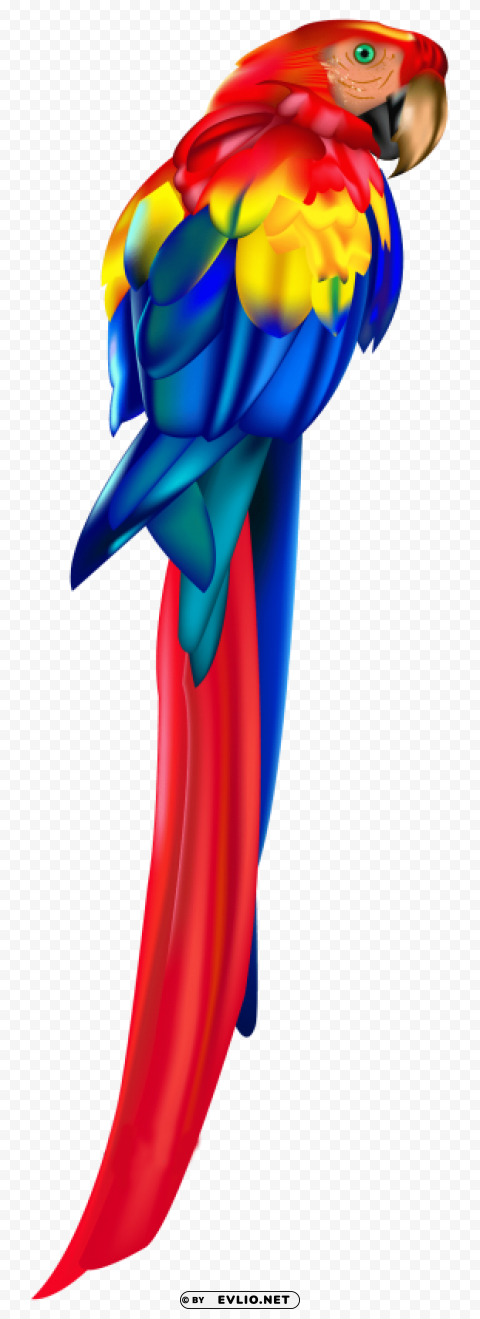 red parrot Isolated Graphic on HighResolution Transparent PNG