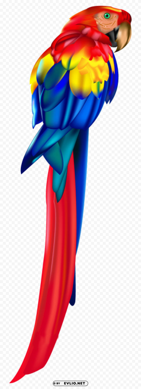 Red Parrot Isolated Graphic On HighResolution Transparent PNG