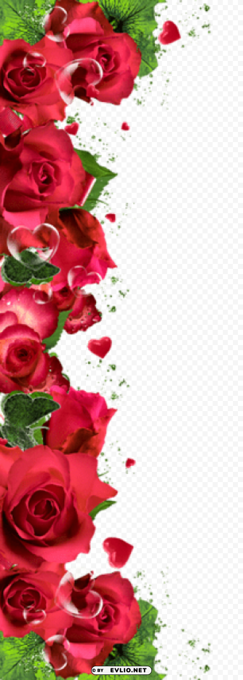 red roses ornament decorpicture Transparent PNG Isolated Graphic with Clarity