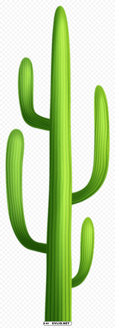 desert cactus transparent Isolated Item on HighQuality PNG