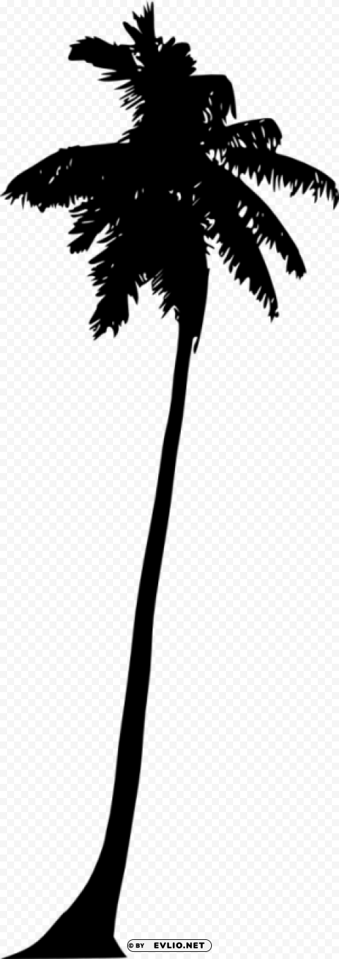 Palm Tree Silhouette Clear background PNG elements