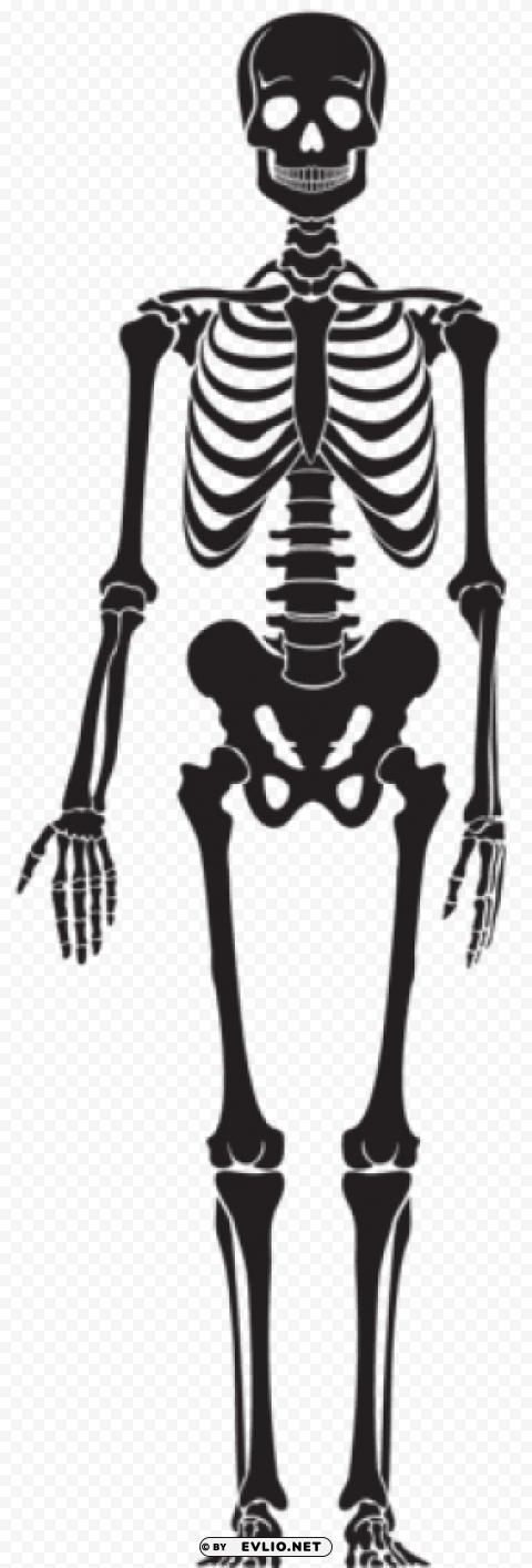 skeleton silhouette ClearCut PNG Isolated Graphic
