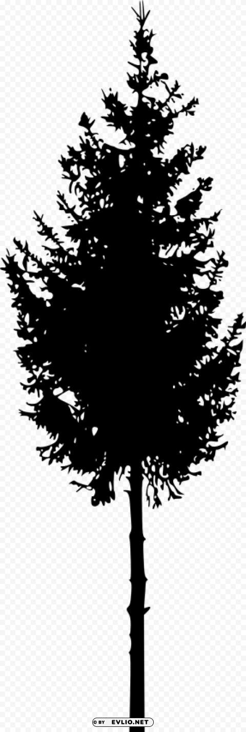 tree ilhouette Isolated Object in Transparent PNG Format