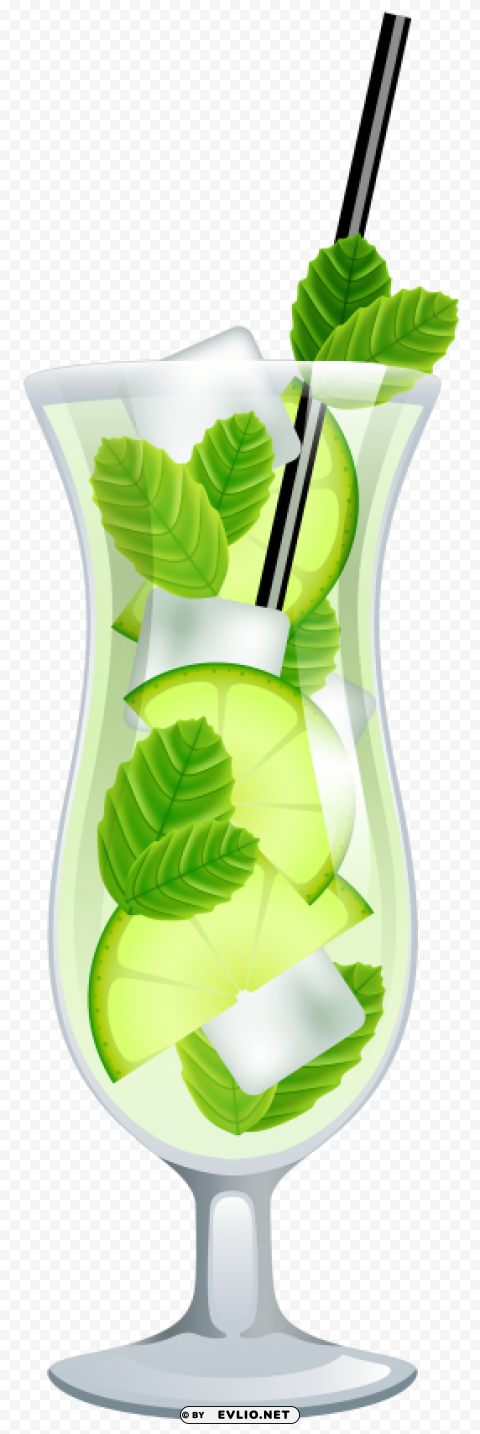mojito Isolated Graphic on Clear Transparent PNG