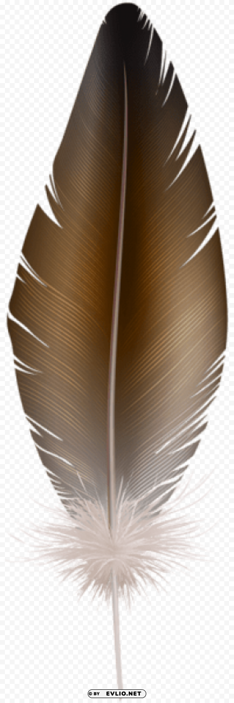 brown feather PNG images with clear backgrounds clipart png photo - 1ba19581