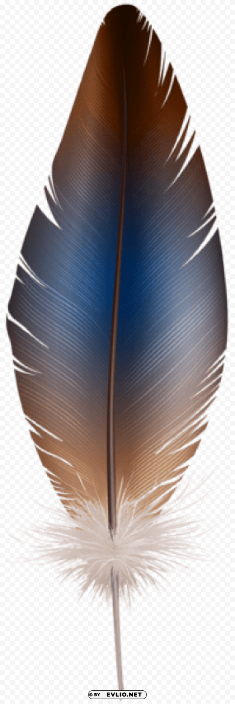 Feather PNG Images With Clear Cutout