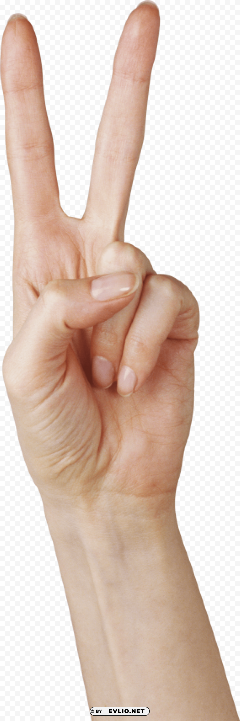 two finger hand Isolated Graphic on HighResolution Transparent PNG