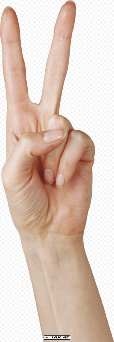 Two Finger Hand Isolated Graphic On HighResolution Transparent PNG