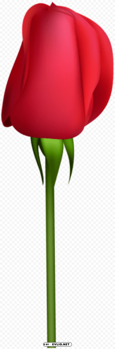 rose bud transparent Isolated PNG Object with Clear Background