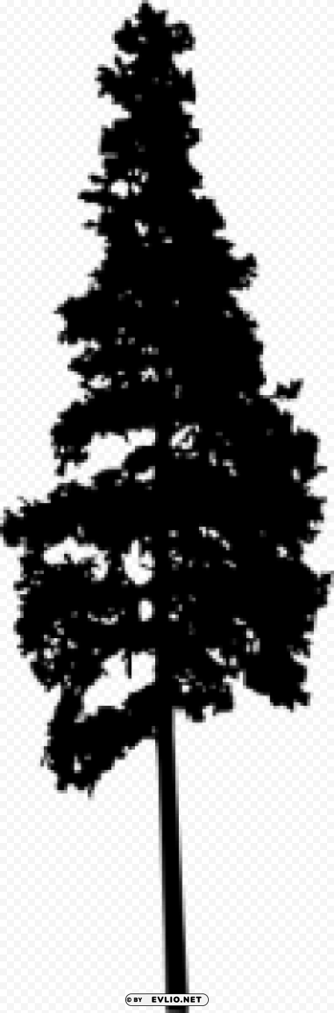 Pine Tree Silhouette PNG with alpha channel for download