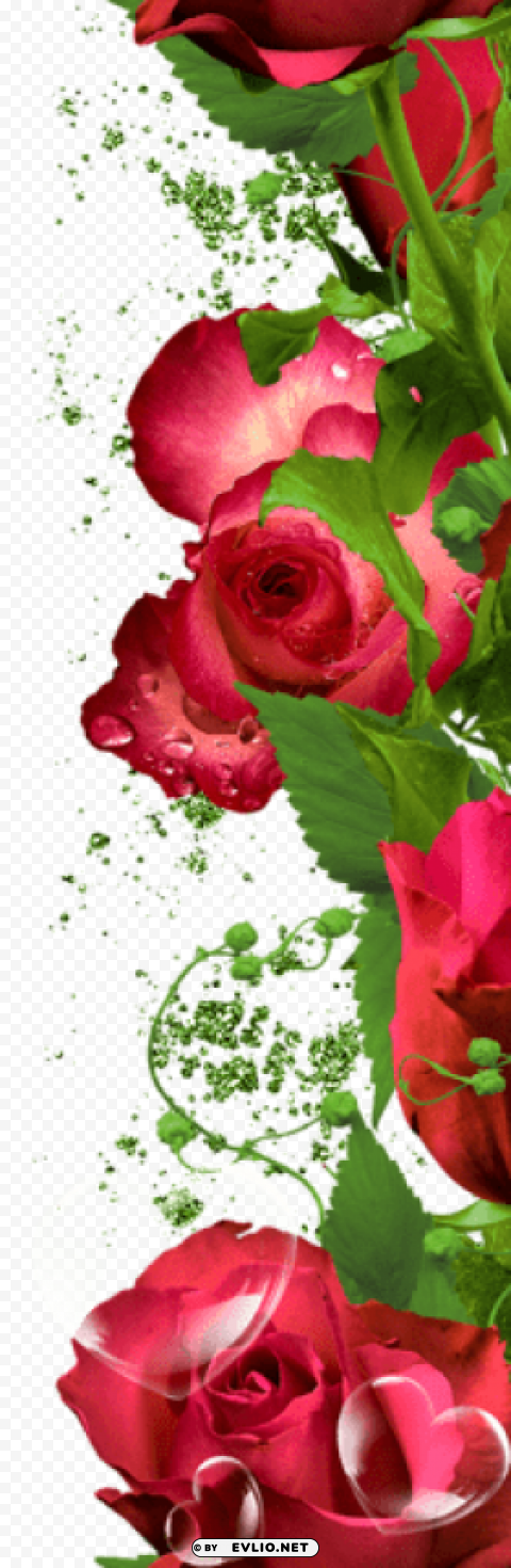 roses decorationpicture Transparent PNG Isolated Object