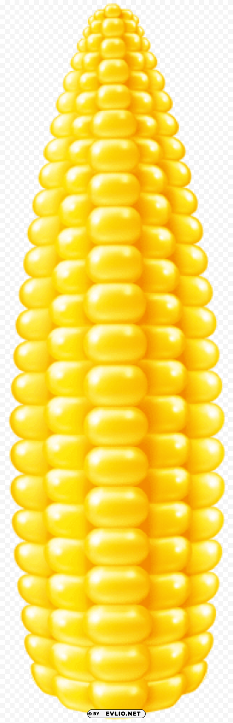 Corn CleanCut Background Isolated PNG Graphic