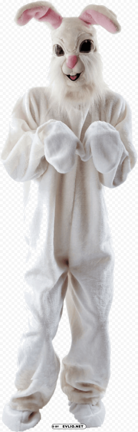 Fluffy Easter Bunny Costume PNG Files With Transparent Canvas Extensive Assortment