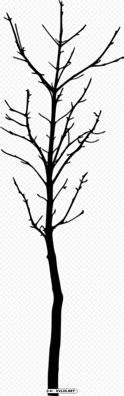 bare tree silhouette Isolated Design Element in PNG Format