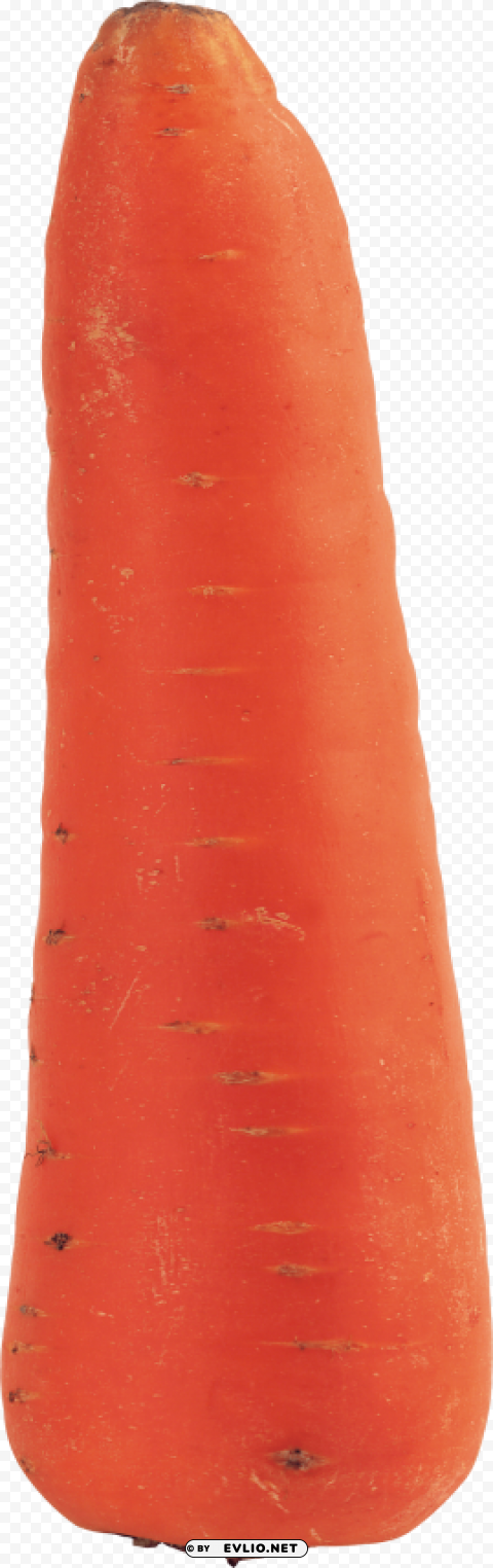 carrot PNG Isolated Illustration with Clarity