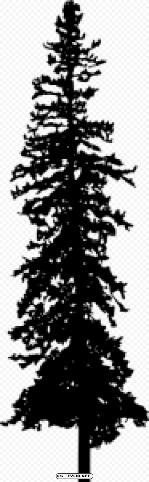 Pine Tree Silhouette PNG with no background for free